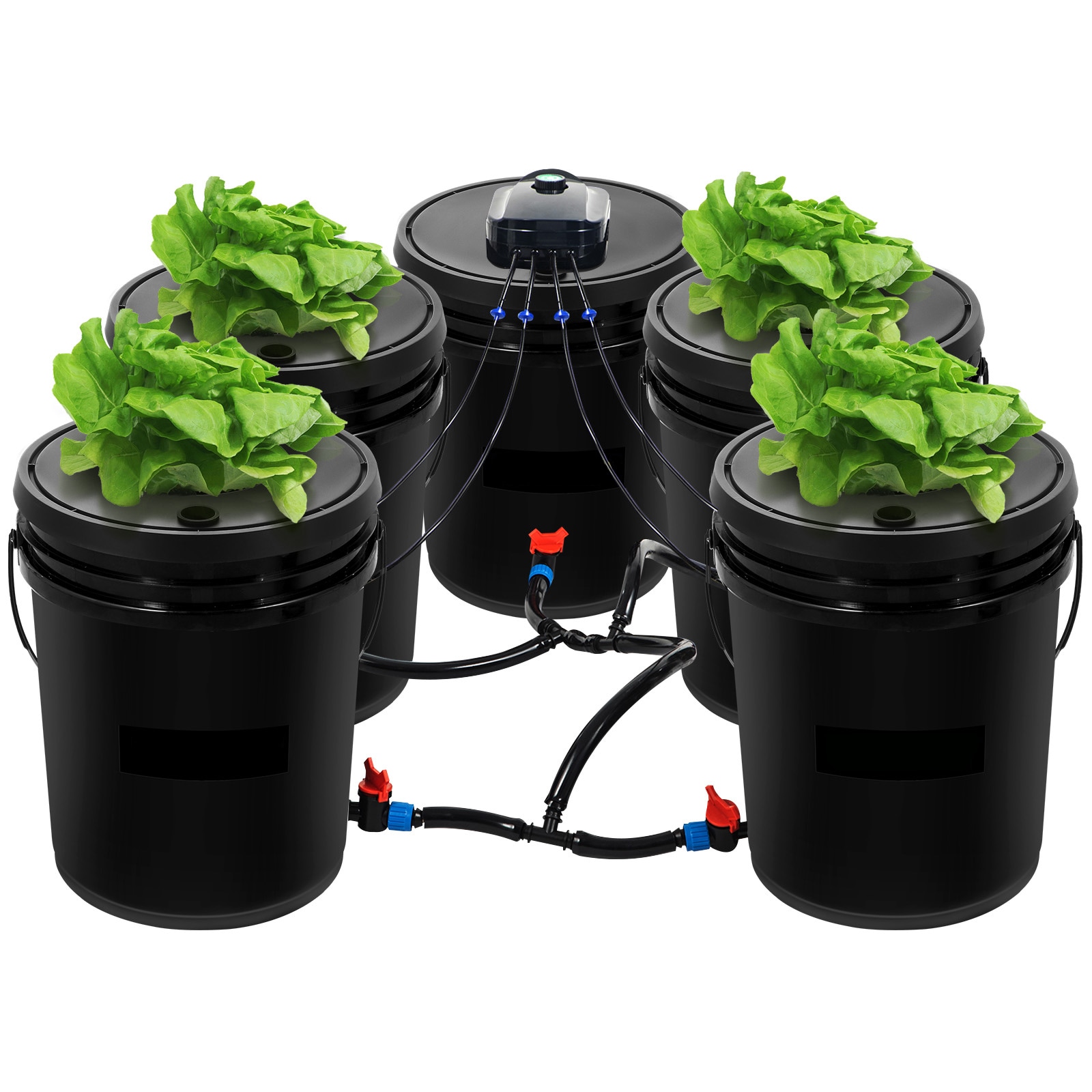 Deep Water Culture Hydroponic System With Pump And Air Stone_voghion.com